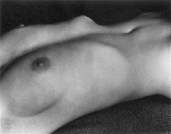 Nude By Edward Weston On Artnet