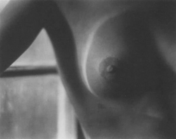 Nude By Edward Weston On Artnet