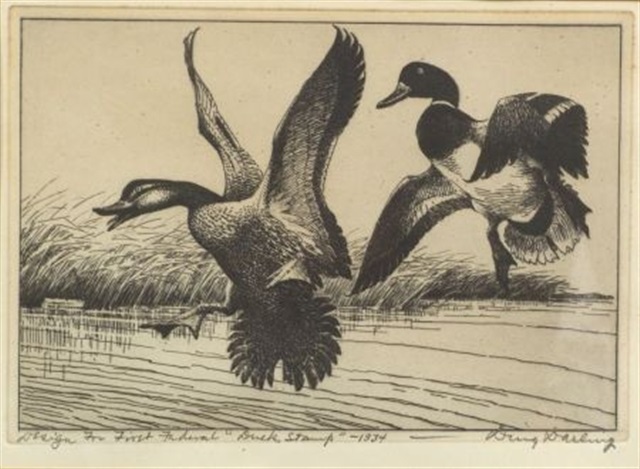 Design for first federal duck stamp by J.N. (Ding) Darling on artnet