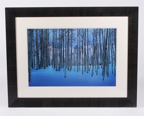 Moonlit Birches Telluride, Colorado by Peter Lik on artnet