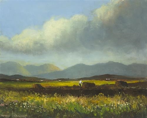 CONNEMARA PEAT BOG, BALLINA, COUNTY MAYO by Norman J. McCaig on artnet