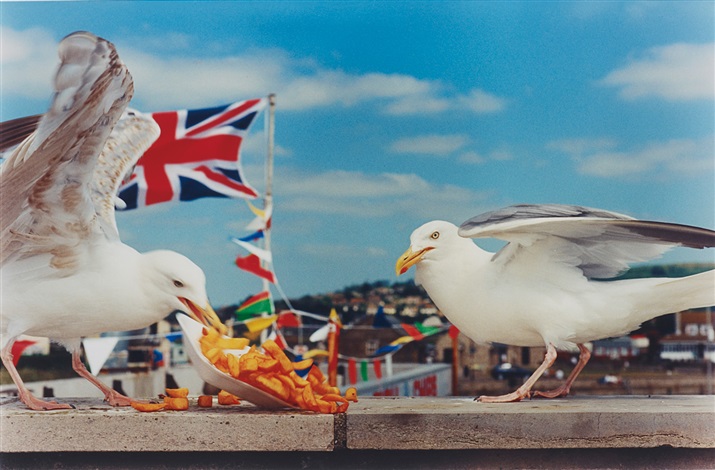 West Bay Seagulls eating chips by Martin Parr on artnet