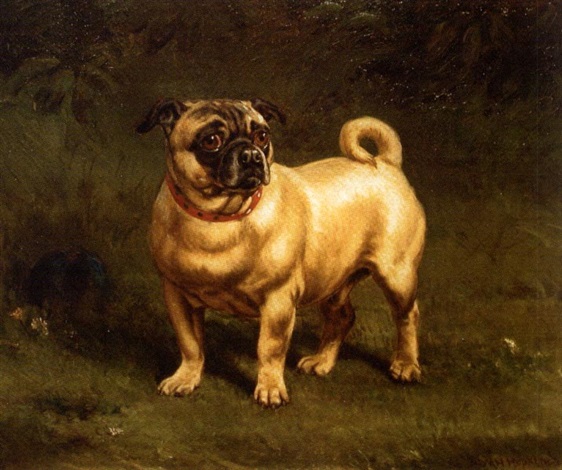 Pug 1880 best sale