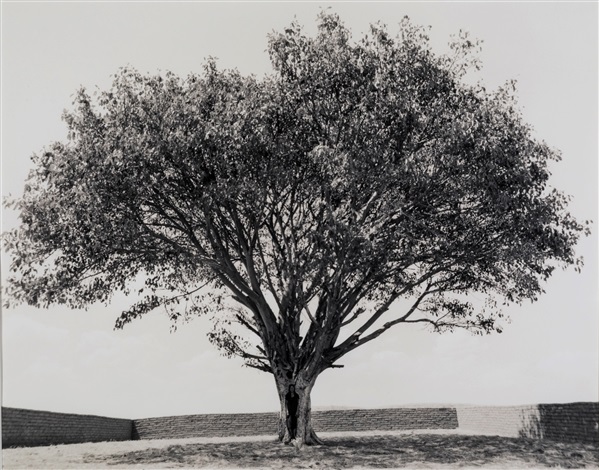 Tooba series by Shirin Neshat on artnet