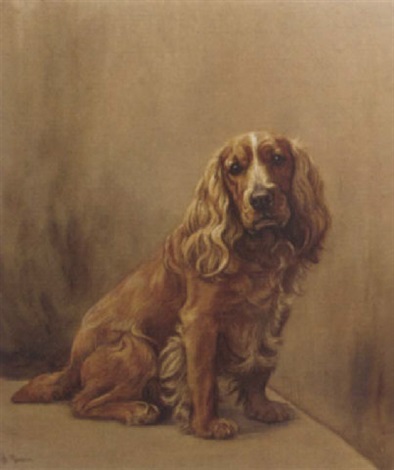 Caramel cocker sale spaniel