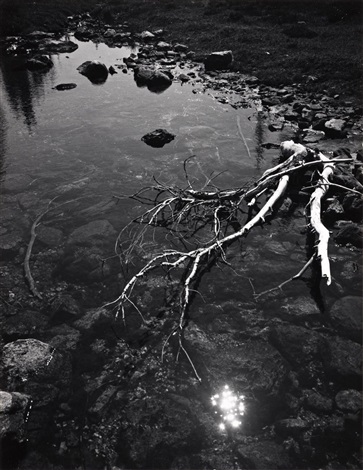 Branch and Creek by Ansel Adams on artnet