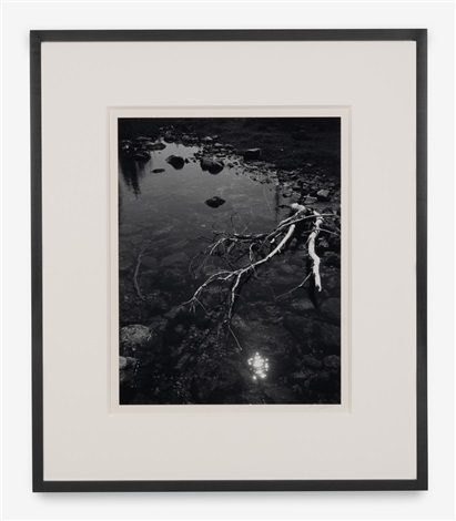 Branch and Creek by Ansel Adams on artnet